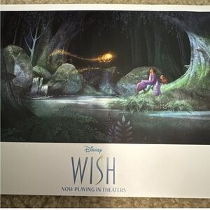Wish Lithograph - Disney Pass-holder Exclusive